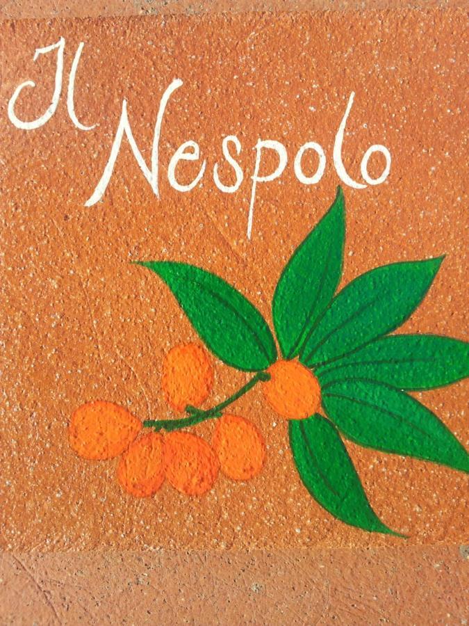 Appartamento Il Nespolo Pomonte Exteriör bild